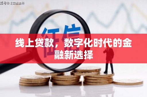 洪梅线上贷款，数字化时代的金融新选择