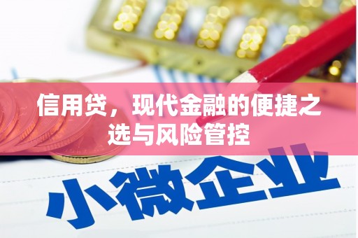 洪梅信用贷，现代金融的便捷之选与风险管控