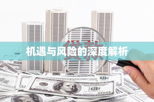 洪梅机遇与风险的深度解析