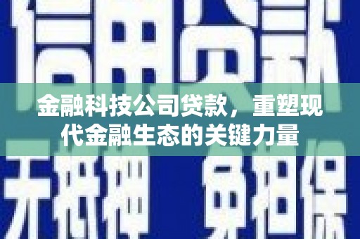 洪梅金融科技公司贷款，重塑现代金融生态的关键力量