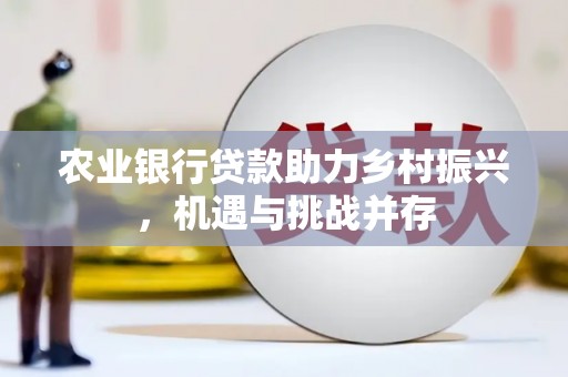 洪梅农业银行贷款助力乡村振兴，机遇与挑战并存