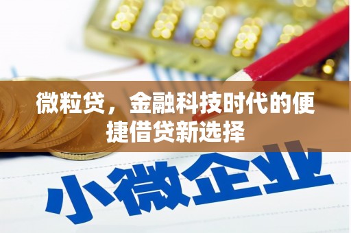 洪梅微粒贷，金融科技时代的便捷借贷新选择