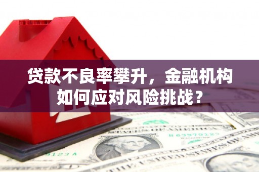 洪梅贷款不良率攀升，金融机构如何应对风险挑战？