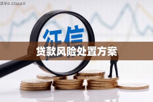 洪梅贷款风险处置方案