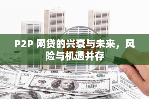 洪梅P2P 网贷的兴衰与未来，风险与机遇并存