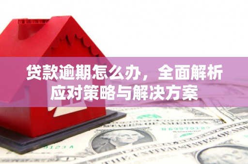 洪梅贷款逾期怎么办，全面解析应对策略与解决方案
