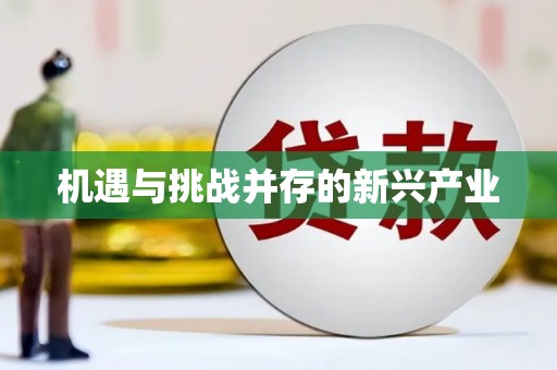 洪梅机遇与挑战并存的新兴产业