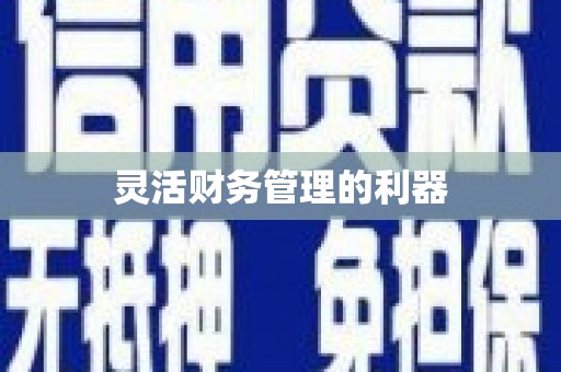 洪梅灵活财务管理的利器