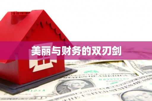 洪梅美丽与财务的双刃剑