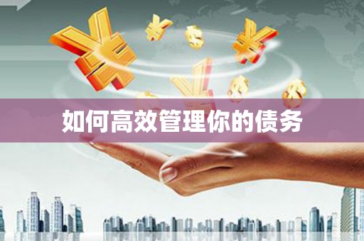 洪梅如何高效管理你的债务