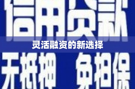 洪梅灵活融资的新选择