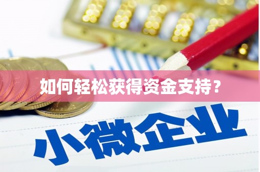 洪梅如何轻松获得资金支持？