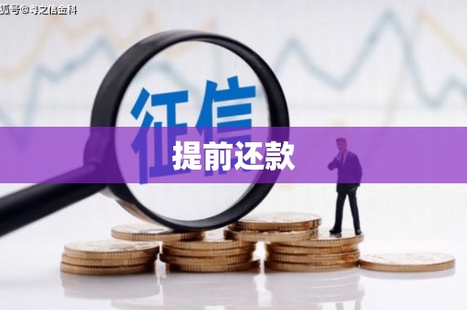 洪梅提前还款