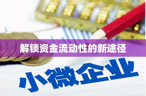 洪梅解锁资金流动性的新途径