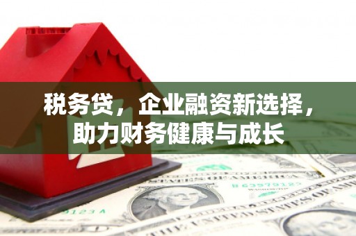 洪梅税务贷，企业融资新选择，助力财务健康与成长