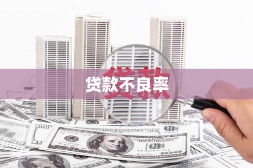 洪梅贷款不良率